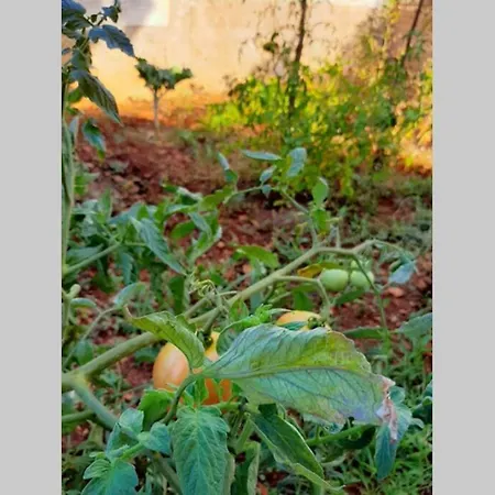 Appartamento Giovanna - Spacious Lovely